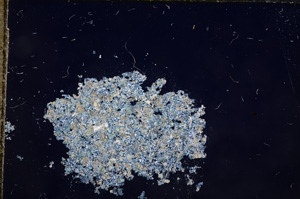 Cross Polarized, E8130/A