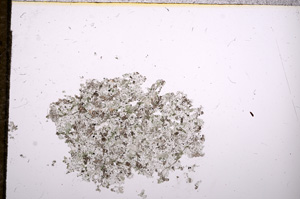 Plane Polarized, E8130/A