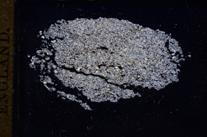 Cross Polarized, E8142