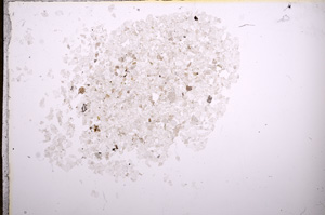 Plane Polarized, E8146