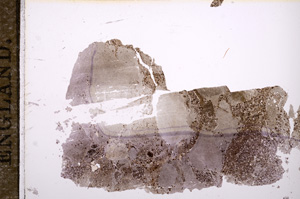 Plane Polarized, E8155