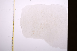 Plane Polarized, E8171