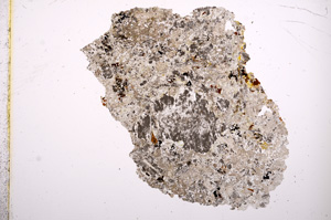 Plane Polarized, E8178