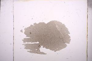 Plane Polarized, E8196