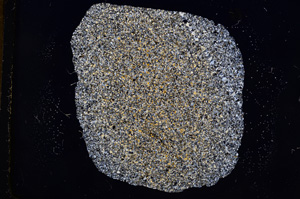 Cross Polarized, E8197