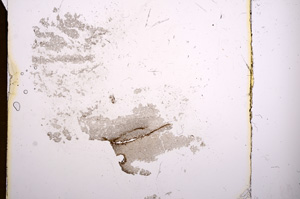 Plane Polarized, E8198