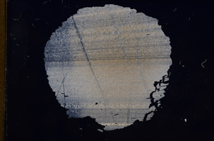 Cross Polarized, E8204