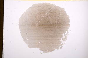 Plane Polarized, E8204