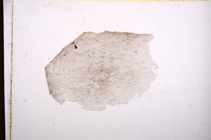 Plane Polarized, E8230