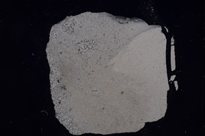 Cross Polarized, E8231