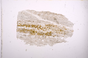 Plane Polarized, E8258