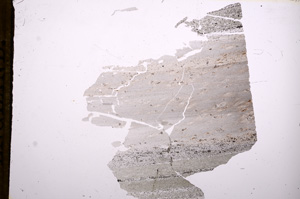 Plane Polarized, E8273