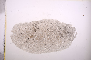 Plane Polarized, E8315