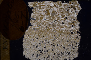 Cross Polarized, E8355