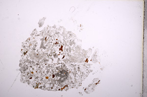 Plane Polarized, E8393