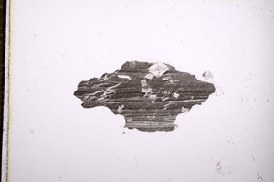 Plane Polarized, E8399