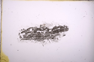 Plane Polarized, E8399/A