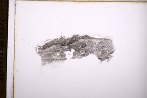 Plane Polarized, E8400