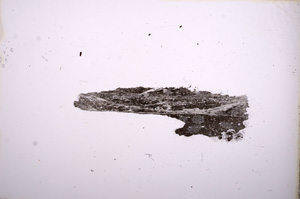 Plane Polarized, E8400/A