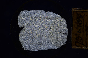 Cross Polarized, E8428