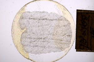 Plane Polarized, E8428