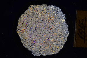 Cross Polarized, E8429