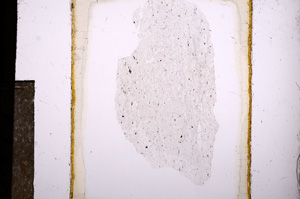 Plane Polarized, E8499