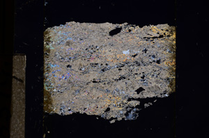 Cross Polarized, E8519
