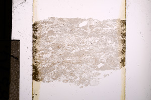 Plane Polarized, E8519