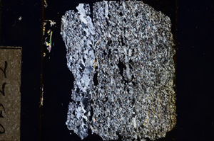 Cross Polarized, E8522