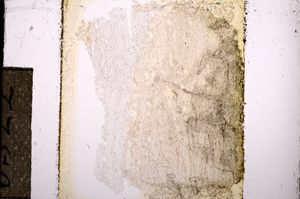 Plane Polarized, E8522