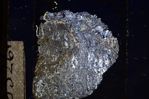 Cross Polarized, E8526