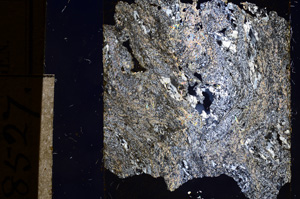 Cross Polarized, E8527