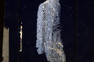 Cross Polarized, E8533