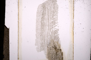 Plane Polarized, E8533