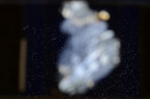 Cross Polarized, E8535