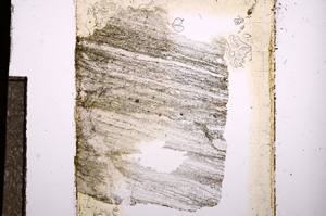 Plane Polarized, E8541