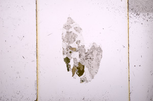 Plane Polarized, E8547