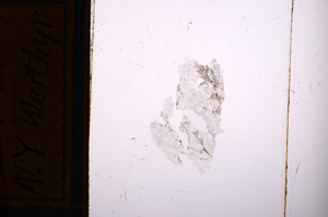 Plane Polarized, E8550