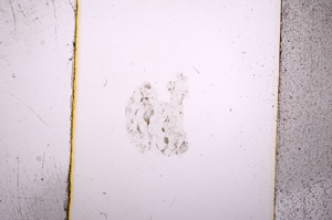 Plane Polarized, E8553