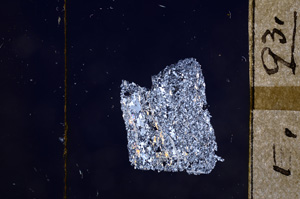 Cross Polarized, E8554
