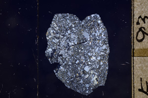 Cross Polarized, E8555
