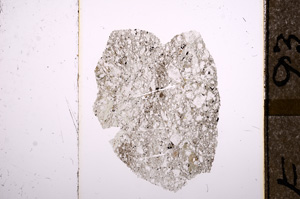 Plane Polarized, E8555
