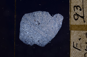 Cross Polarized, E8559