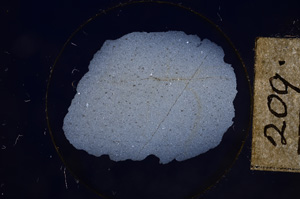 Cross Polarized, E8564