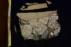 Cross Polarized, E8579