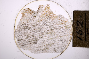 Plane Polarized, E8594