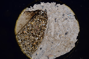 Cross Polarized, E8626