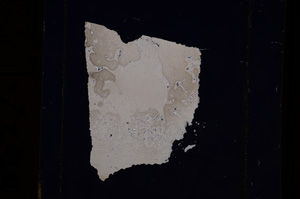 Cross Polarized, E8627