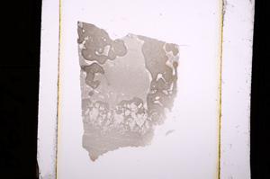 Plane Polarized, E8627